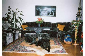 Pensiune familială Veľká Lomnica 3